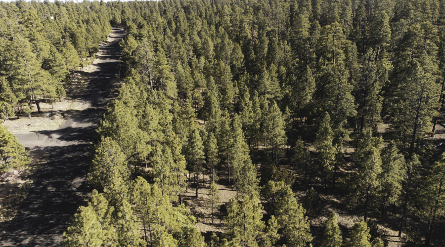 DJI_0643