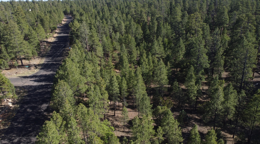 DJI_0644