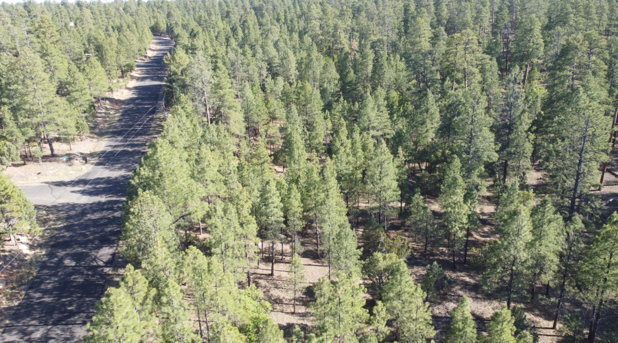 DJI_0645