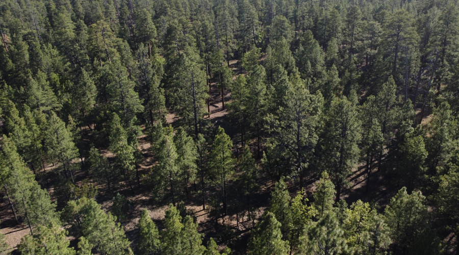 DJI_0647