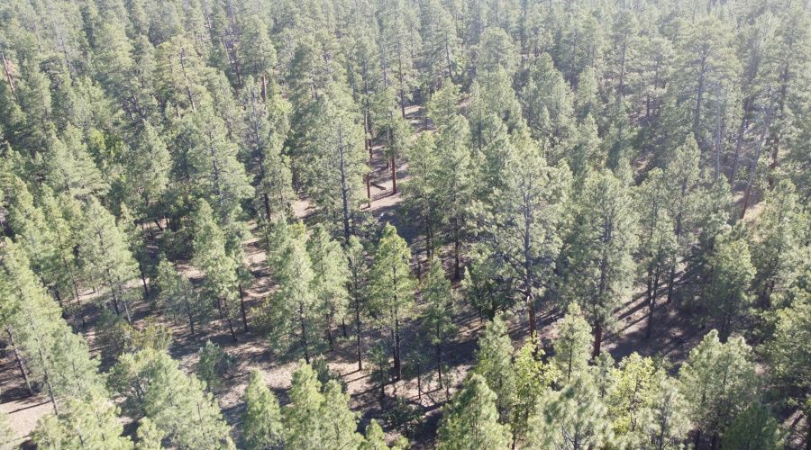 DJI_0648