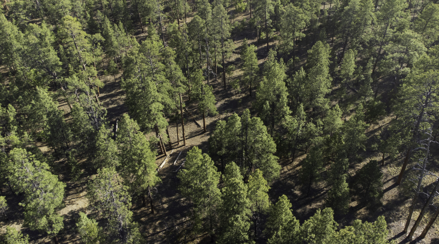 DJI_0652