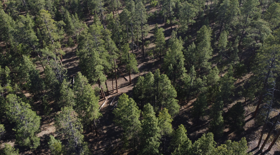 DJI_0653