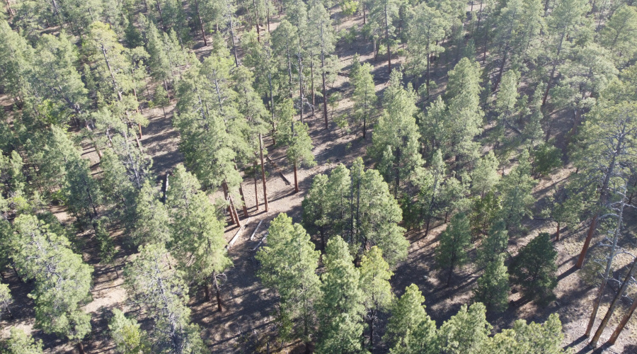 DJI_0654