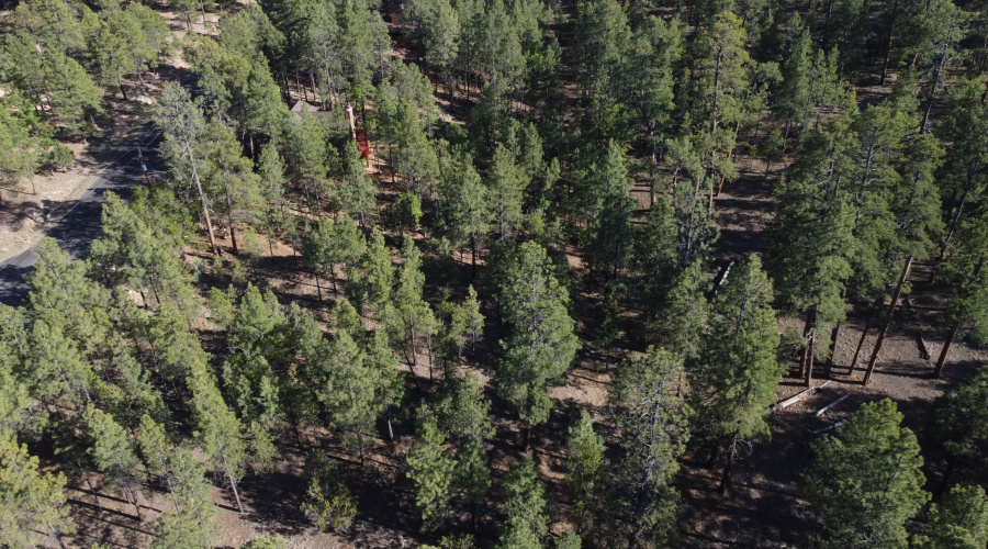 DJI_0656