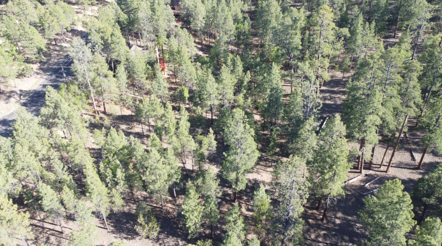 DJI_0657