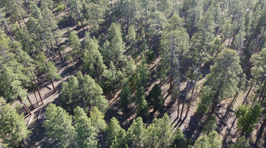 DJI_0658