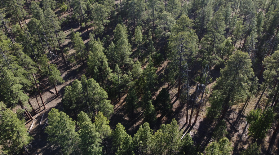 DJI_0659