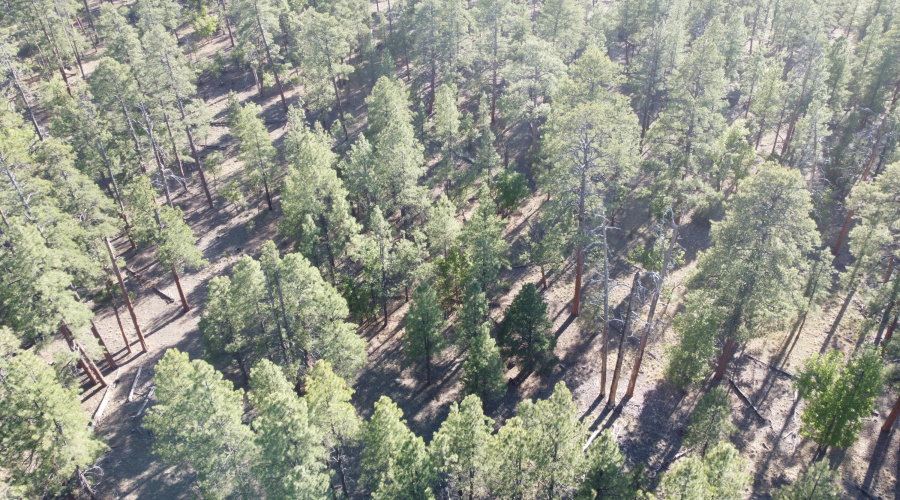 DJI_0660