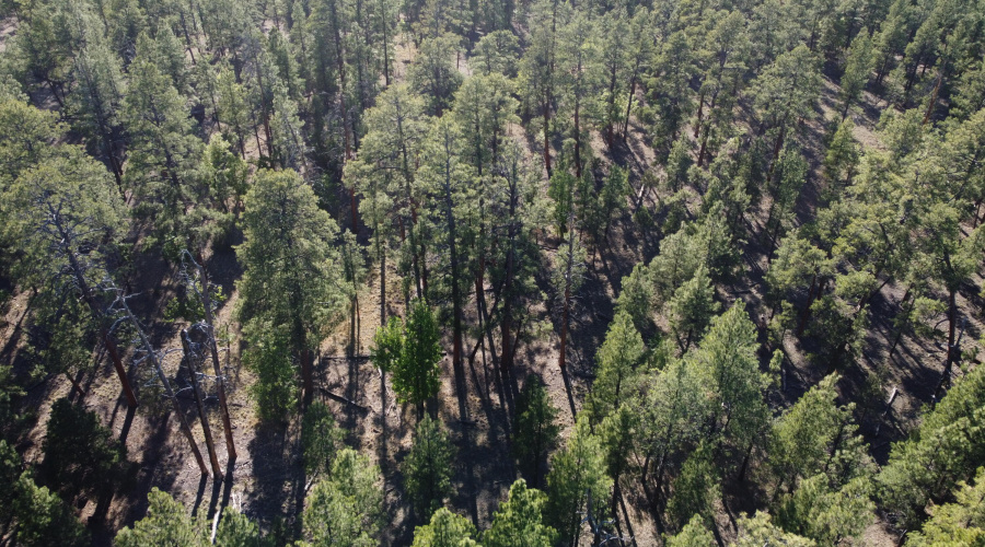 DJI_0662
