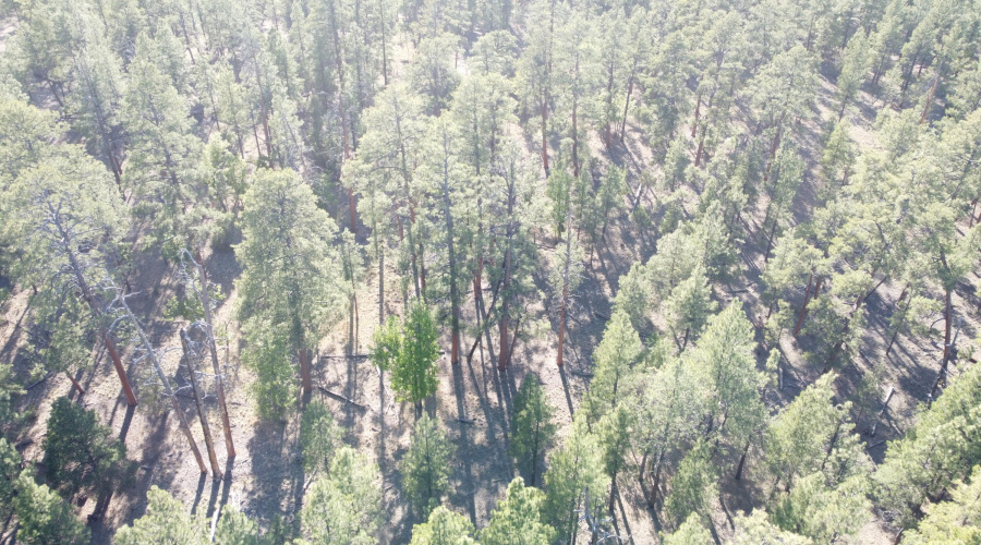 DJI_0663