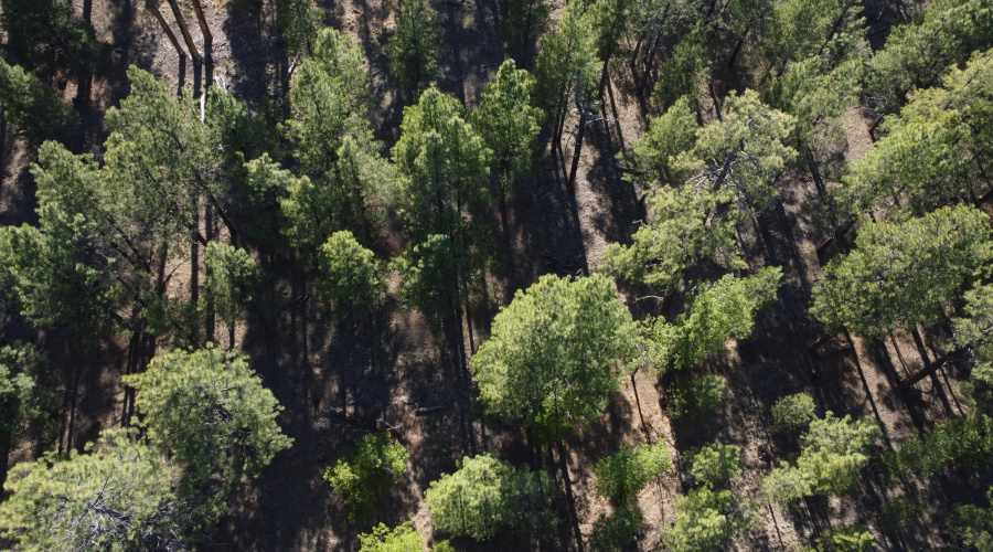 DJI_0665