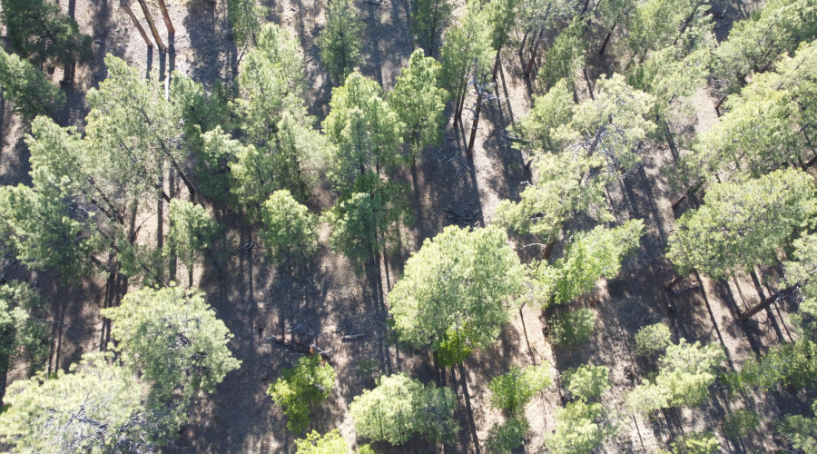 DJI_0666