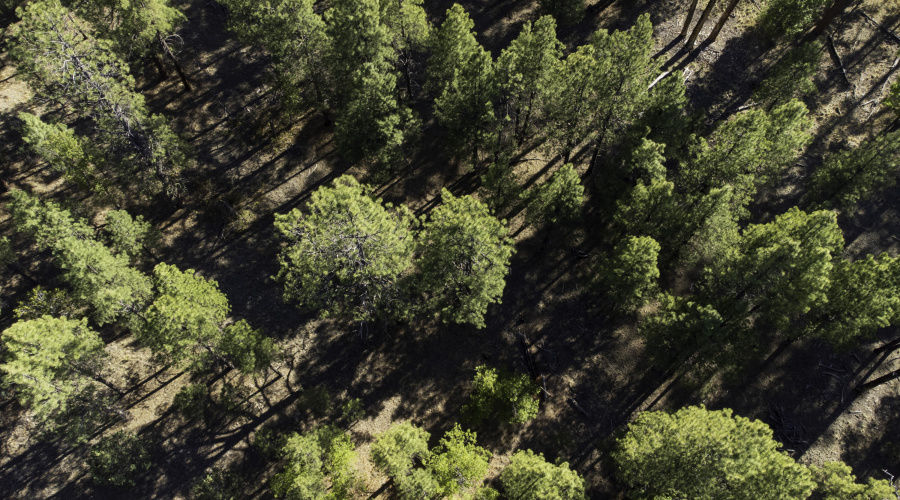 DJI_0667