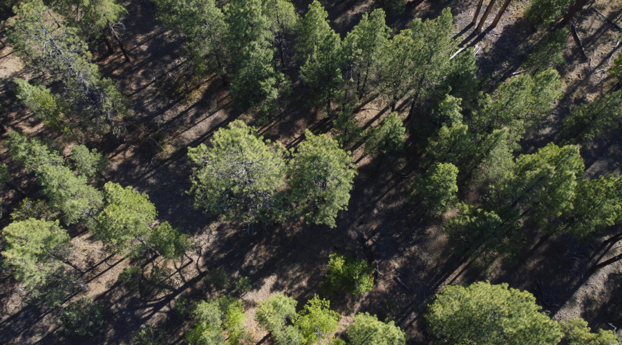 DJI_0668