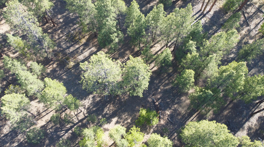 DJI_0669