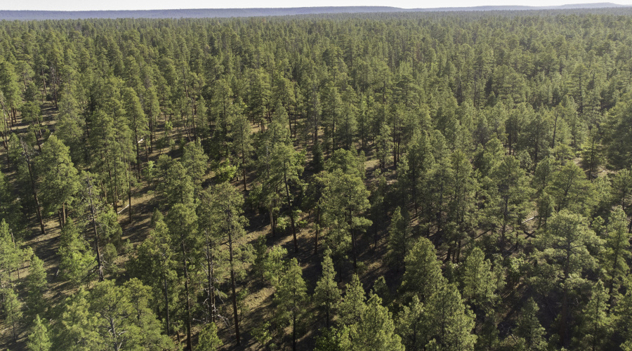 DJI_0670