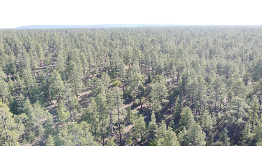 DJI_0672