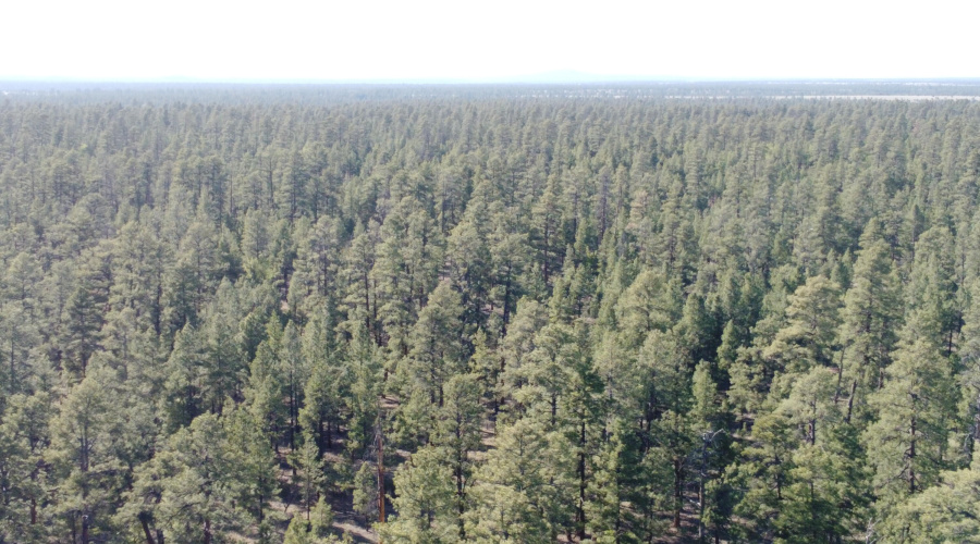 DJI_0673
