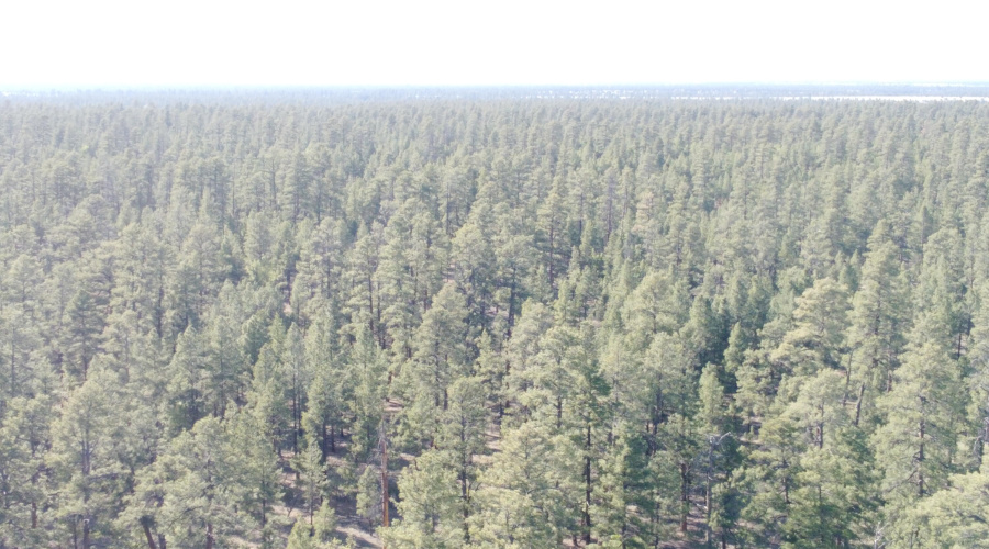 DJI_0675