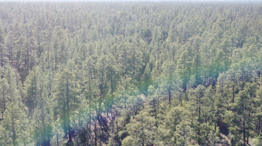 DJI_0676