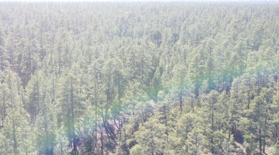 DJI_0678