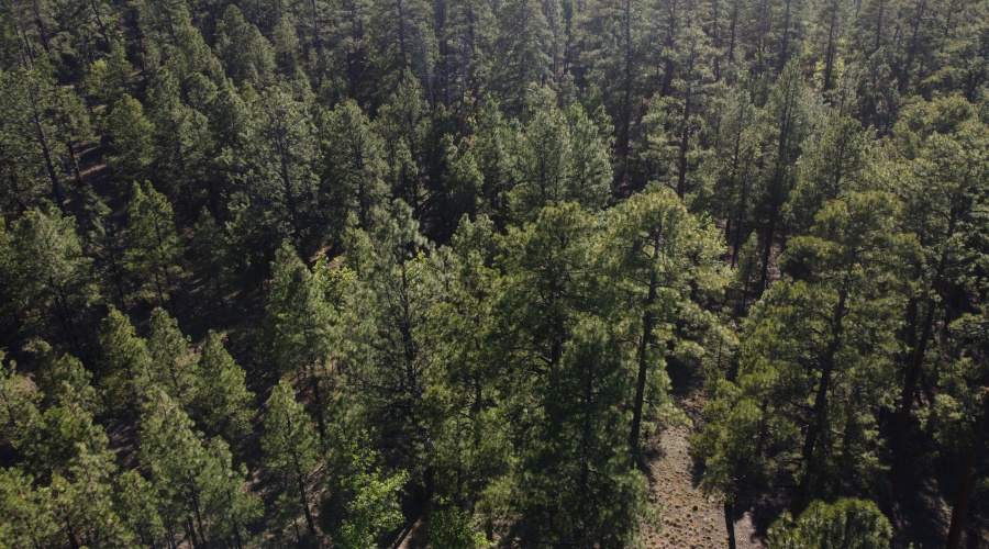 DJI_0680