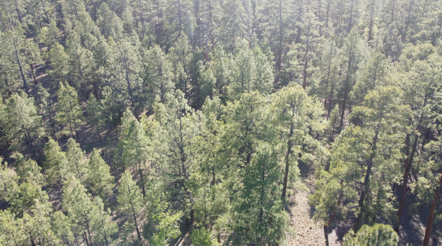 DJI_0681