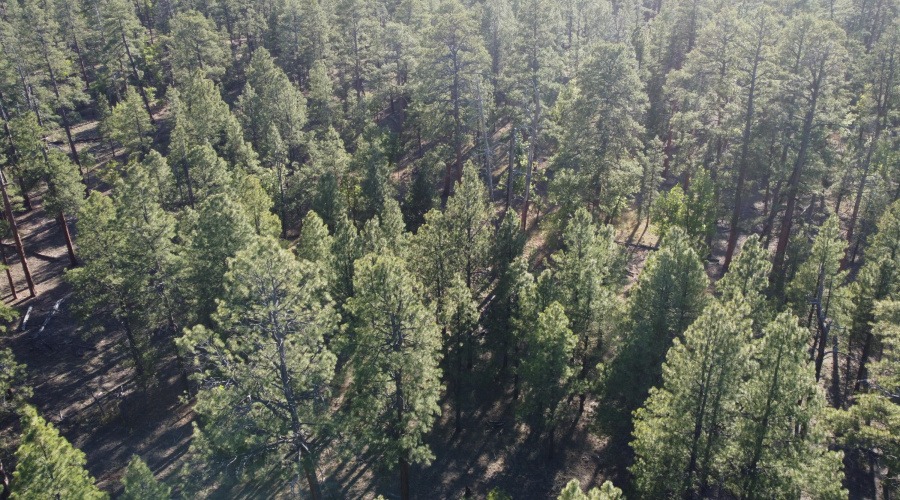 DJI_0682