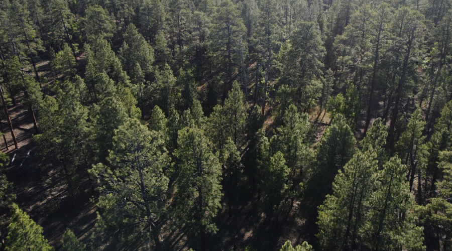 DJI_0683