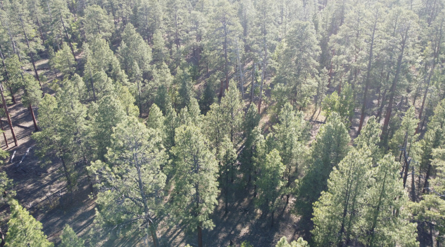 DJI_0684