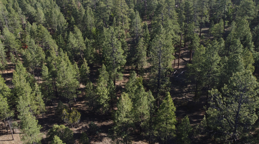 DJI_0686