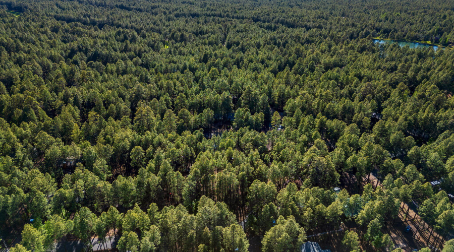 8510AlchesayDr-Pinetop-AZ-2
