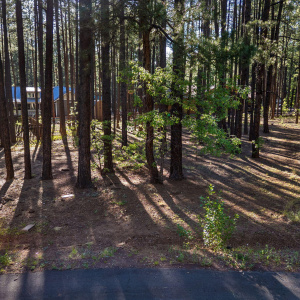 8510 Alchesay Drive, Pinetop, AZ