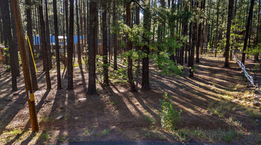 8510 Alchesay Drive, Pinetop, AZ