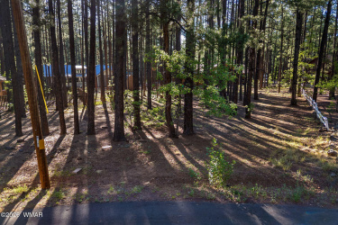 8510 Alchesay Drive, Pinetop, Arizona 85935, ,Land,For Sale,Alchesay,261311