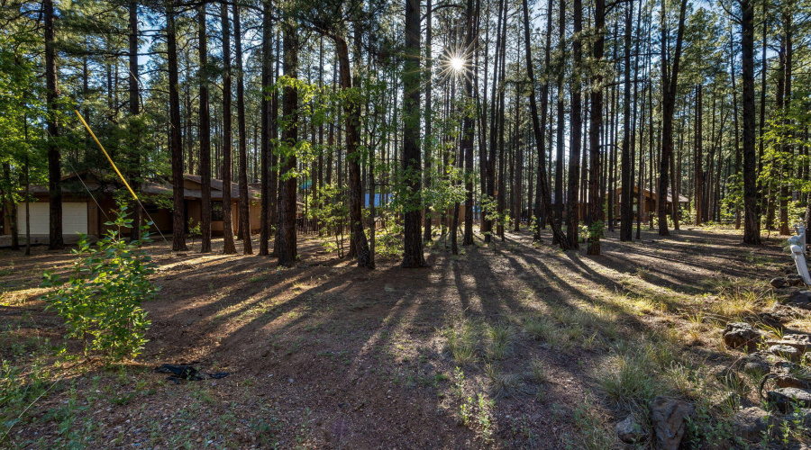 8510 Alchesay Drive, Pinetop, AZ