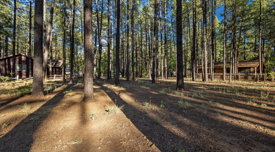 8510 Alchesay Drive, Pinetop, AZ