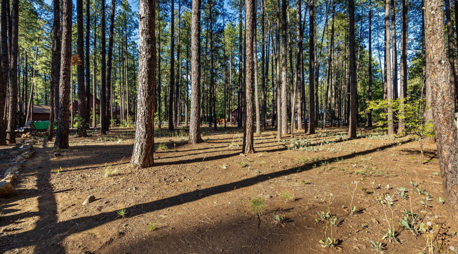 8510 Alchesay Drive, Pinetop, AZ