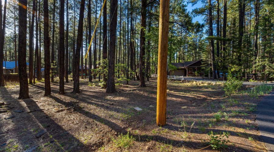 8510AlchesayDr-Pinetop-AZ-8