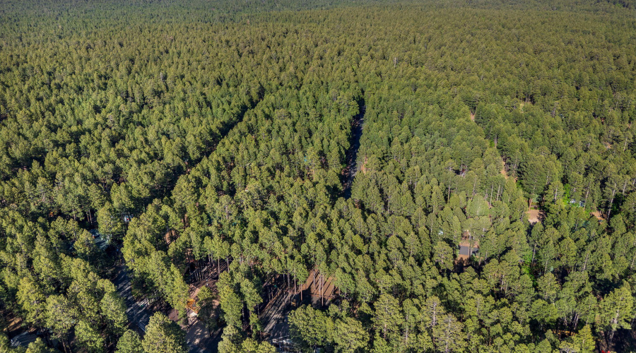 8510AlchesayDr-Pinetop-AZ-7