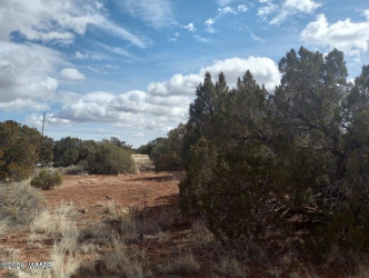 3958 Apache Road, Snowflake, Arizona 85937, ,Land,For Sale,Apache,261307