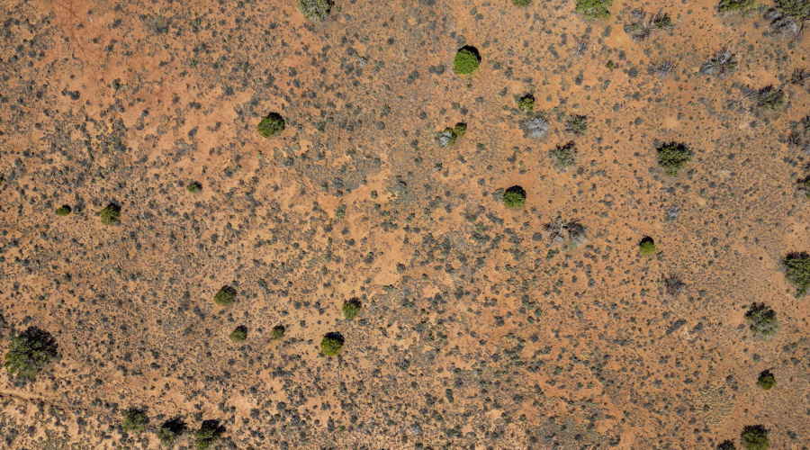 4322JuniperRd-Snowflake-AZ-10