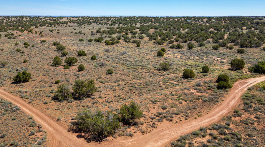 4322JuniperRd-Snowflake-AZ-11