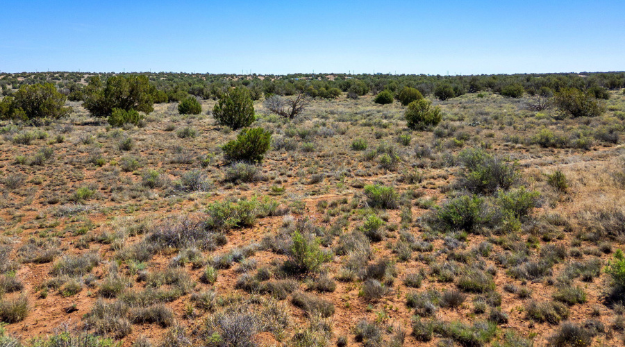 4322JuniperRd-Snowflake-AZ-12