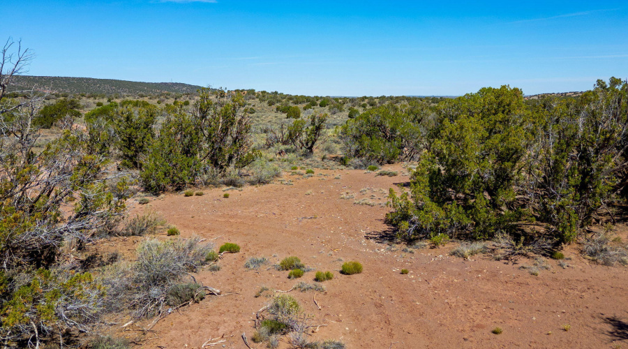 4322JuniperRd-Snowflake-AZ-13