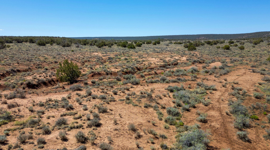 4322JuniperRd-Snowflake-AZ-15