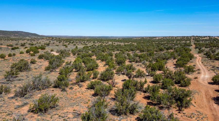 4322JuniperRd-Snowflake-AZ-16