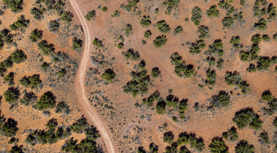 4322JuniperRd-Snowflake-AZ-9