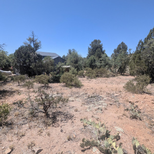 PXL_20260522_181756508